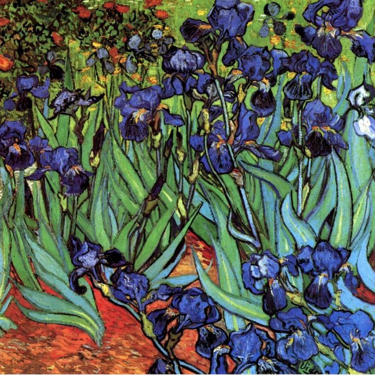 Clase de pintura para los amantes de Van Gogh